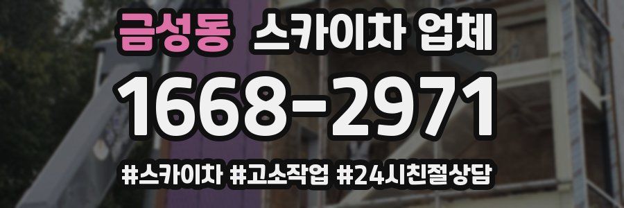 금성동 스카이차 업체