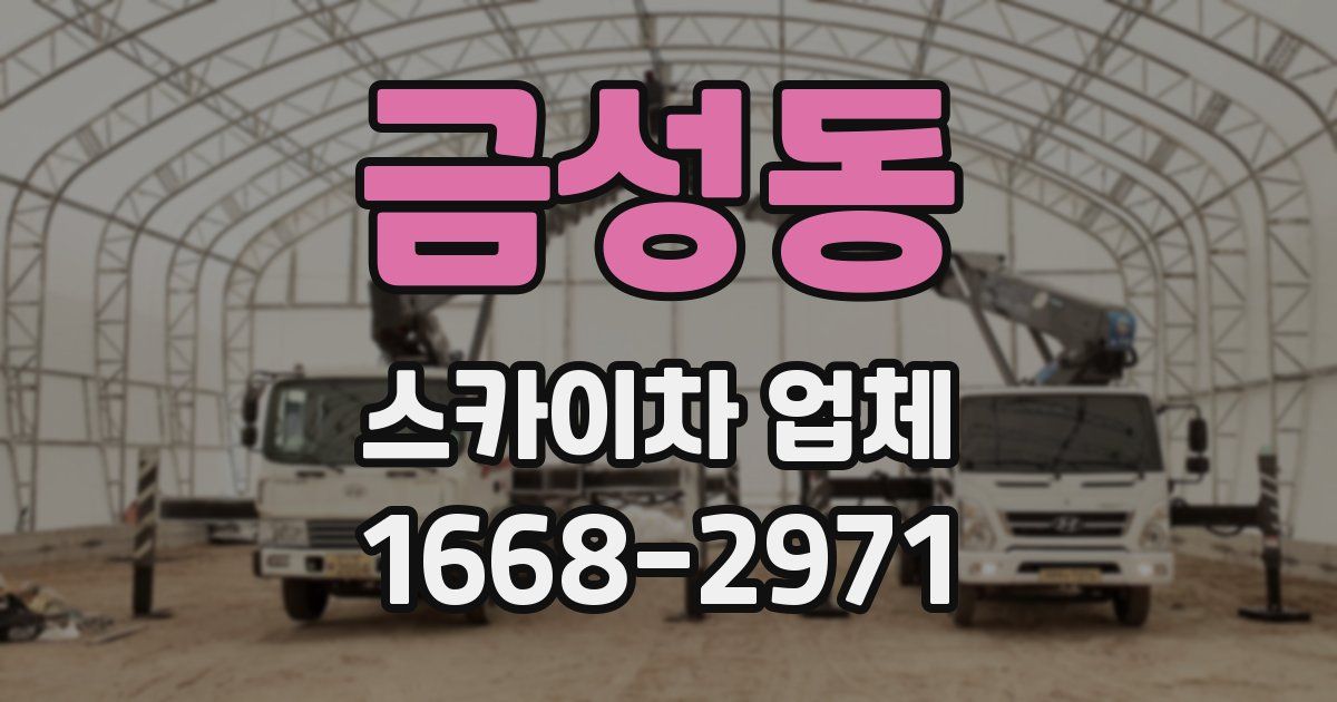 금성동 스카이차 업체