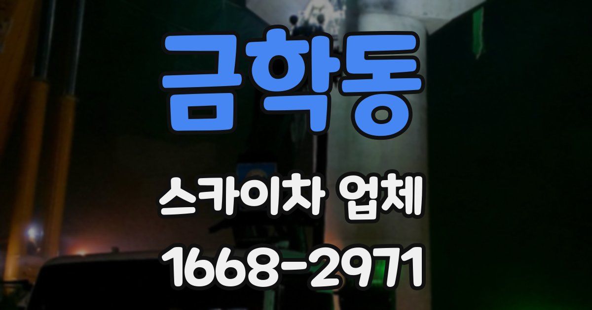 금학동 스카이차 업체