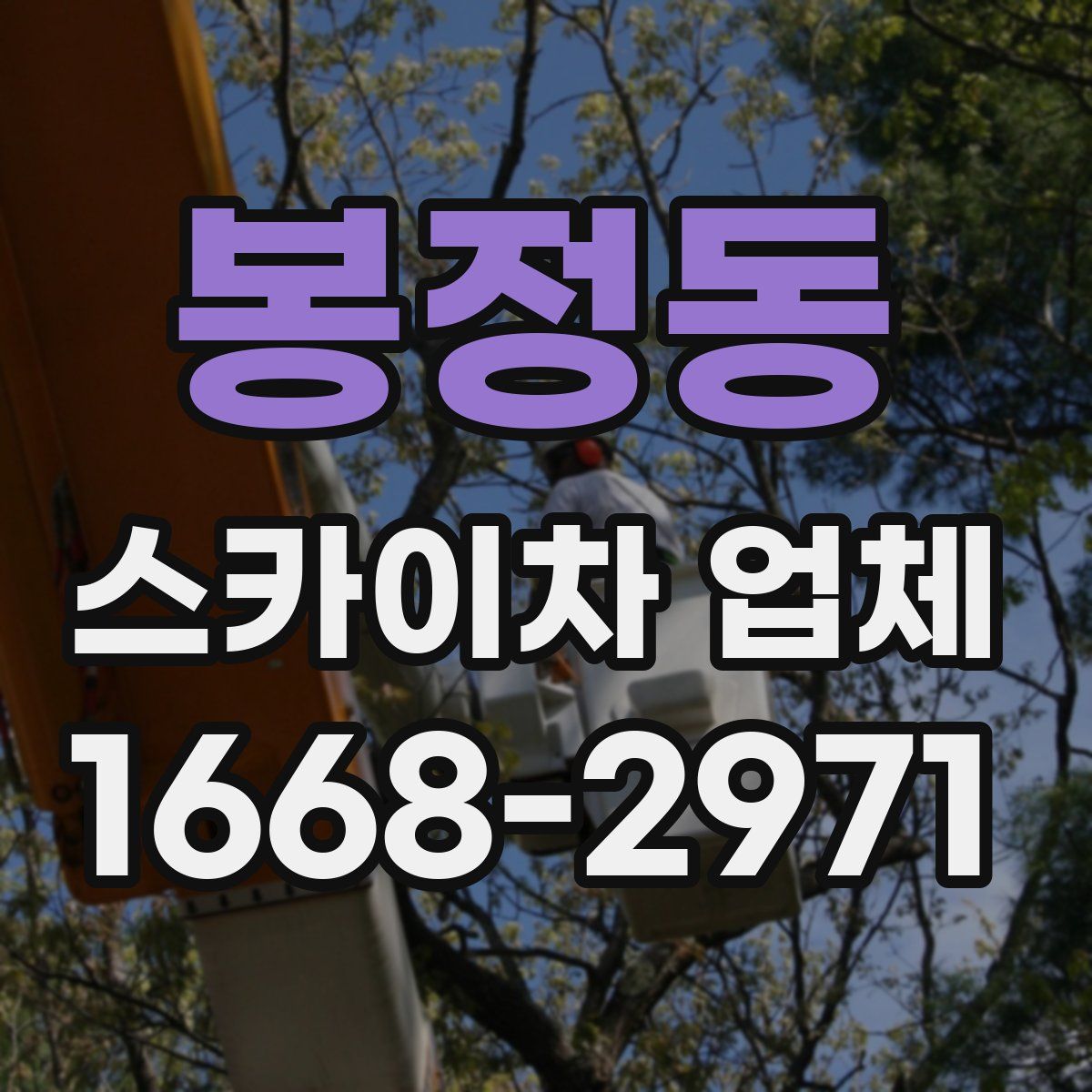 봉정동 스카이차 업체