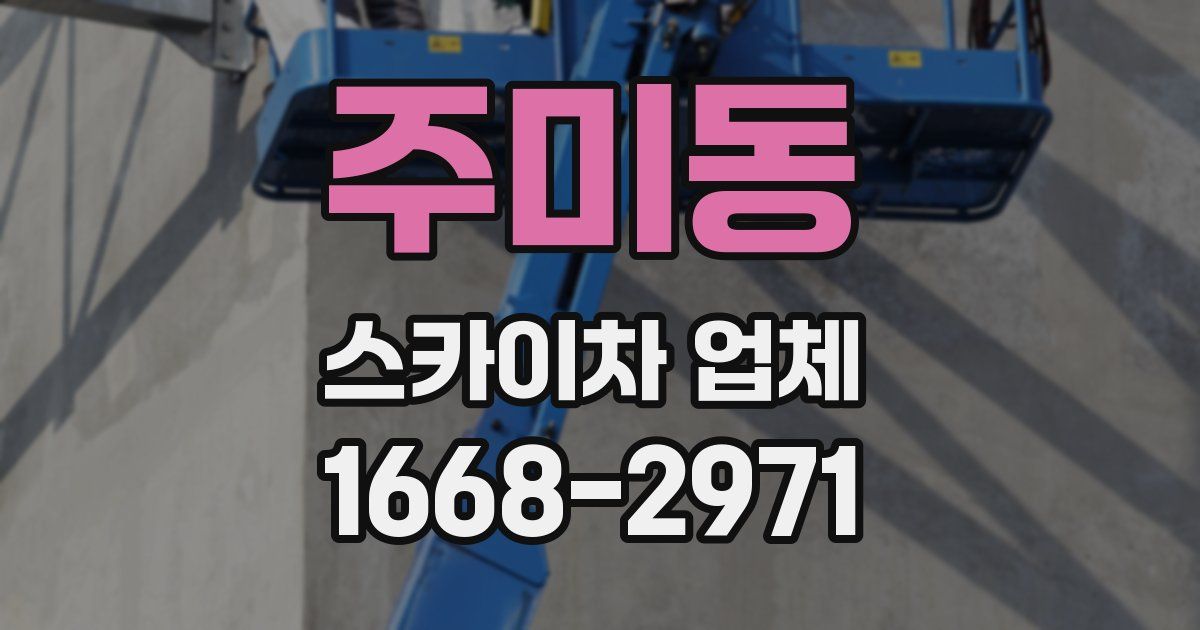 주미동 스카이차 업체