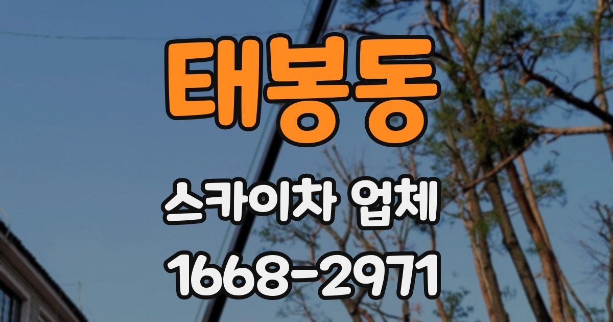 태봉동 스카이차 업체