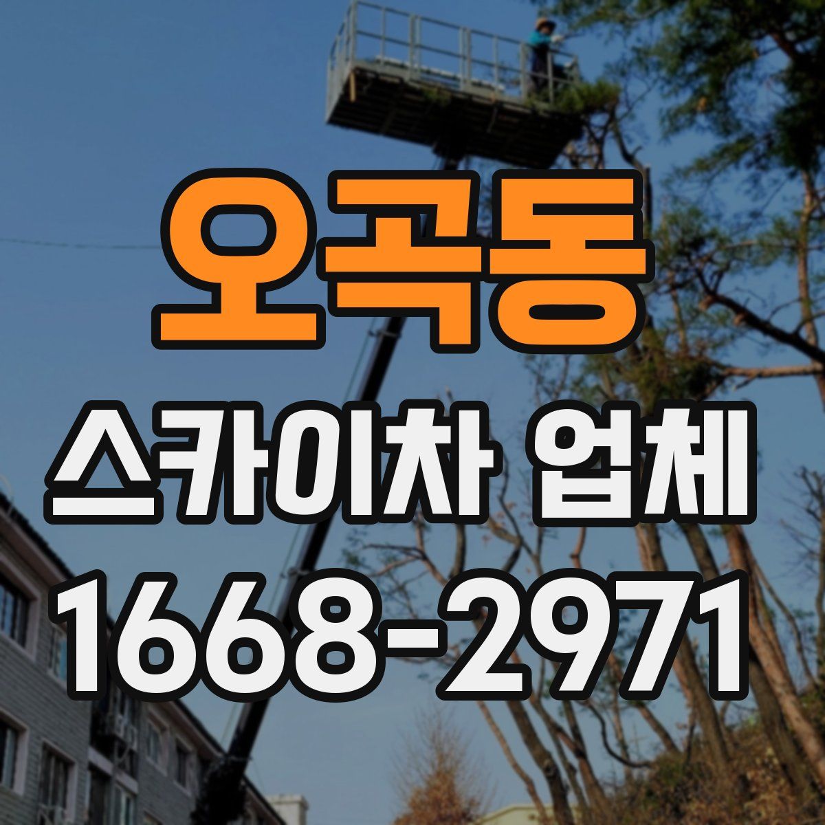 오곡동 스카이차 업체