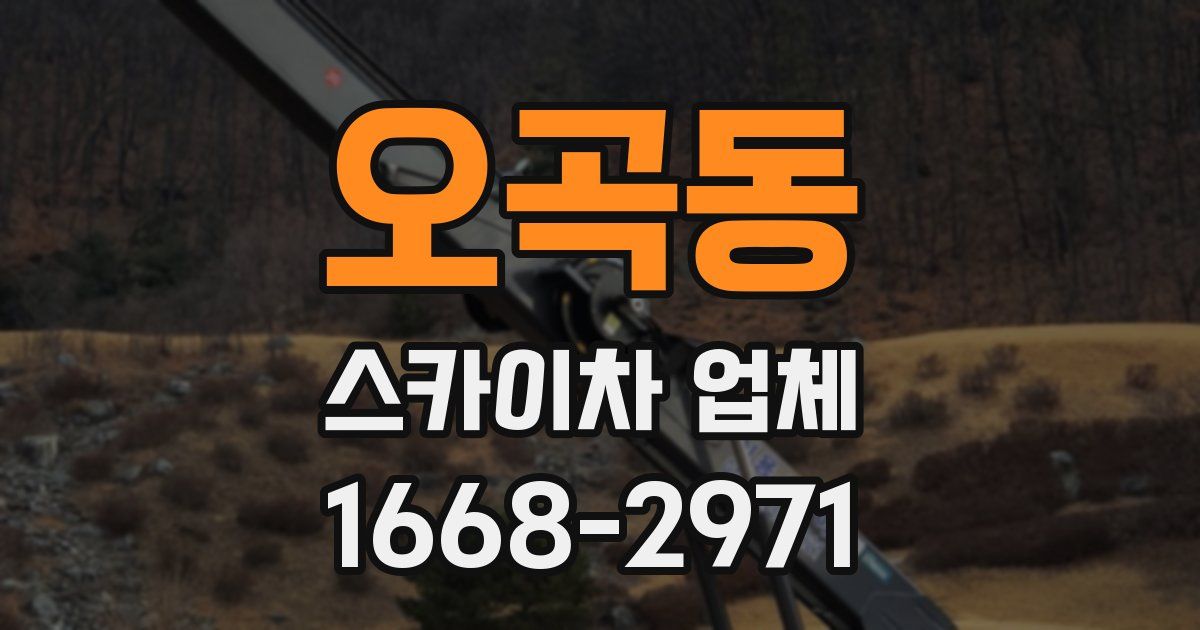 오곡동 스카이차 업체