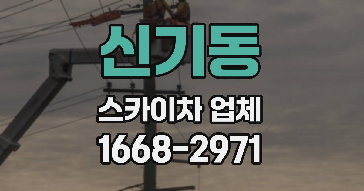 신기동 스카이차 업체