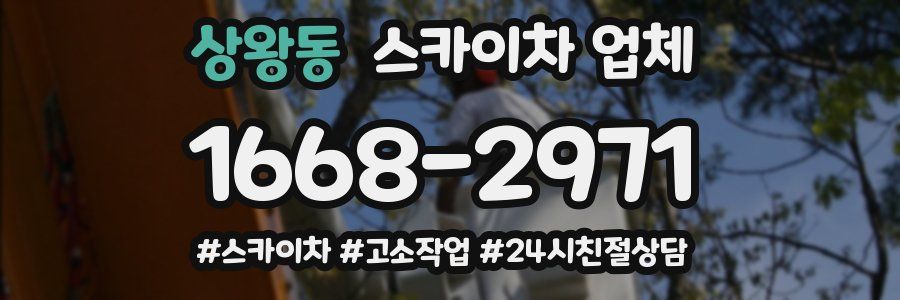 상왕동 스카이차 업체