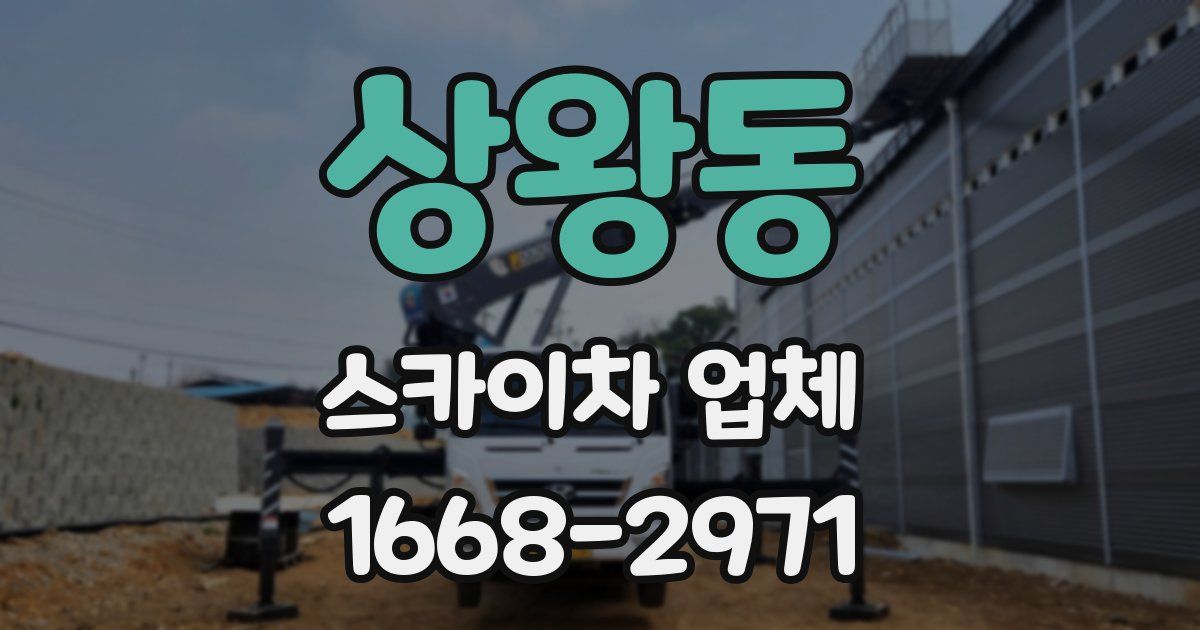 상왕동 스카이차 업체