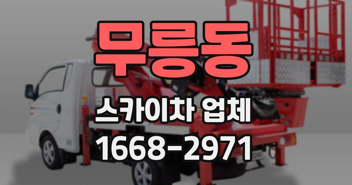 무릉동 스카이차 업체