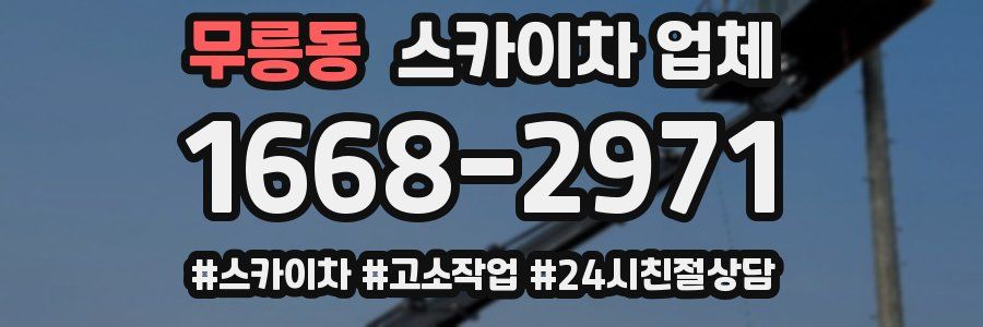 무릉동 스카이차 업체