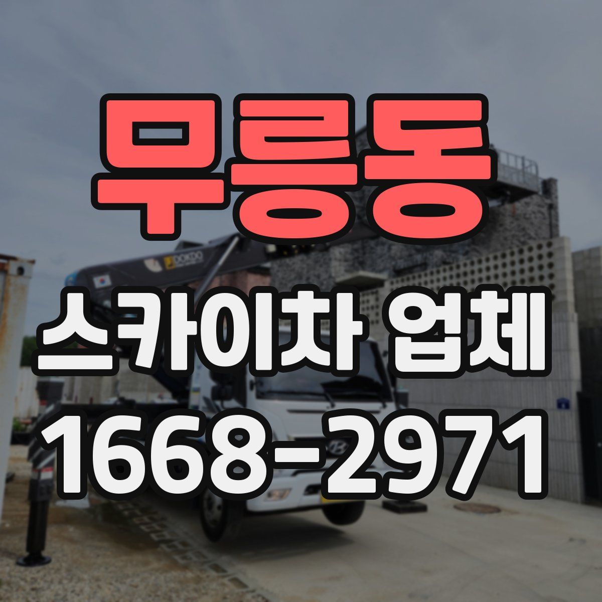 무릉동 스카이차 업체