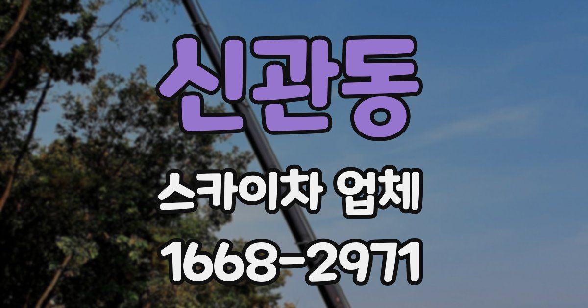 신관동 스카이차 업체