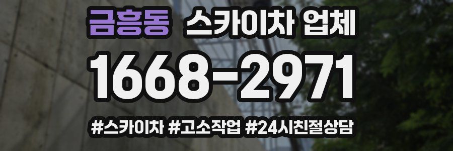 금흥동 스카이차 업체