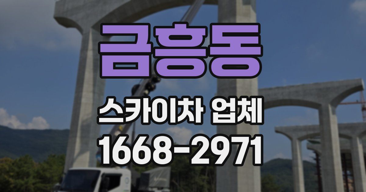 금흥동 스카이차 업체