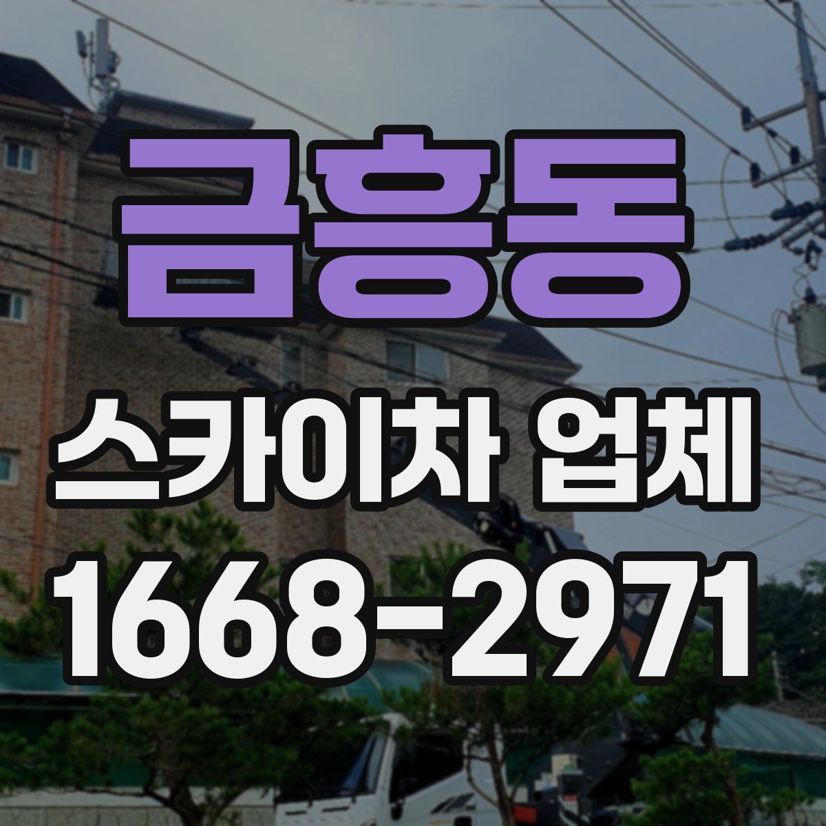 금흥동 스카이차 업체