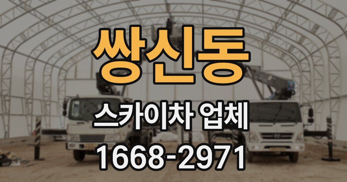 쌍신동 스카이차 업체