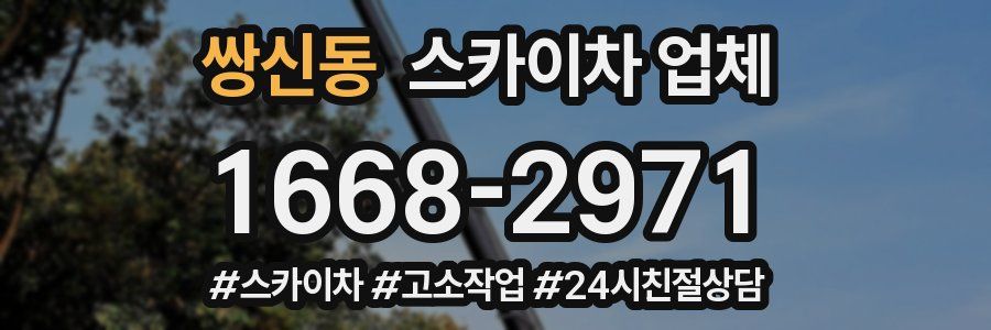 쌍신동 스카이차 업체