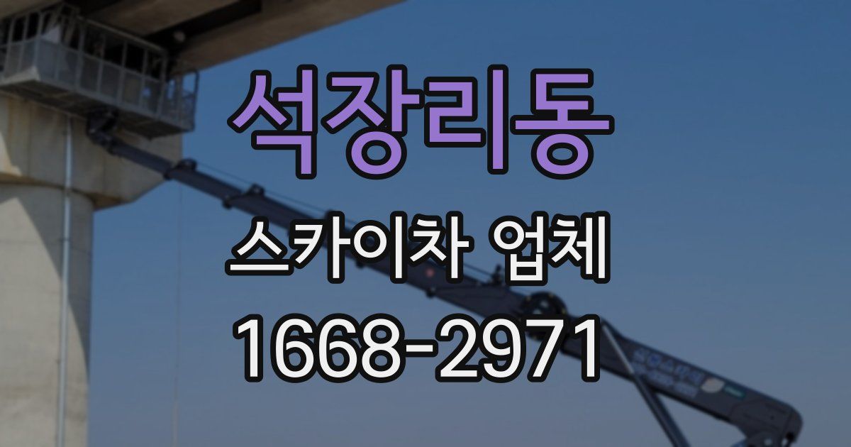 석장리동 스카이차 업체