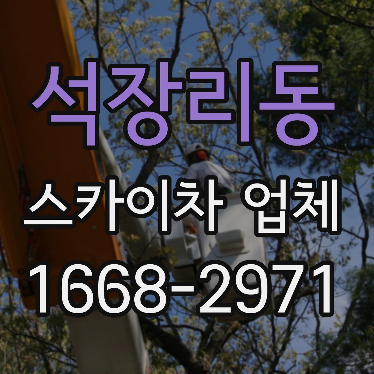 석장리동 스카이차 업체