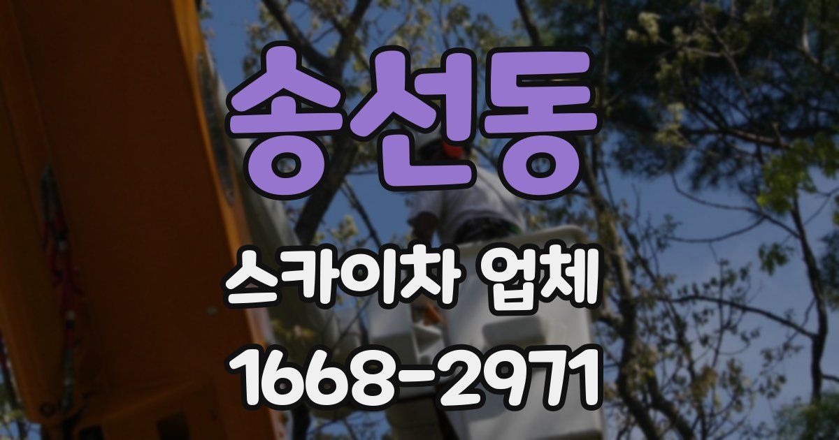 송선동 스카이차 업체