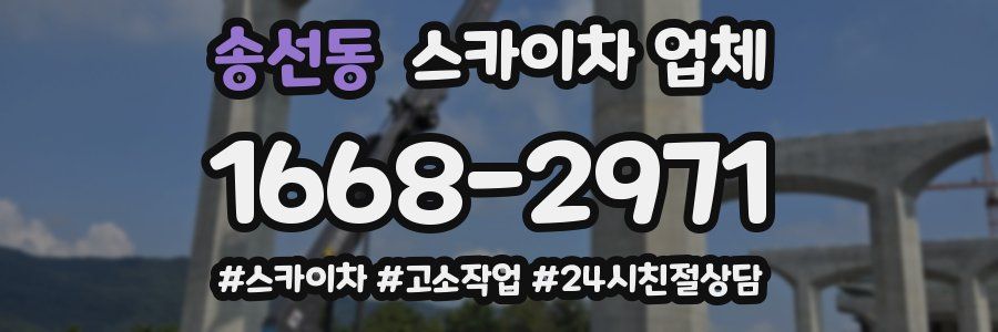 송선동 스카이차 업체