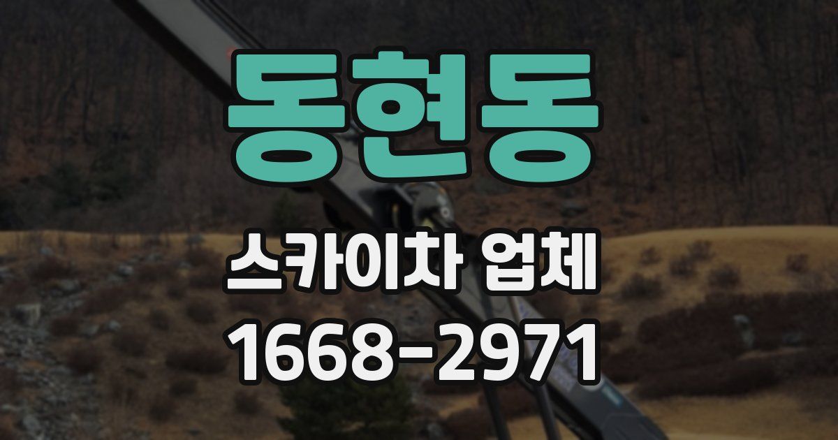 동현동 스카이차 업체
