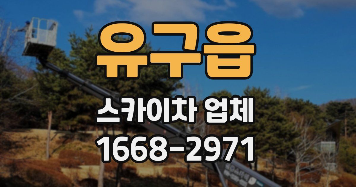 유구읍 스카이차 업체
