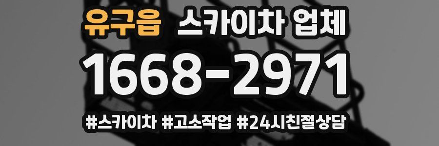 유구읍 스카이차 업체