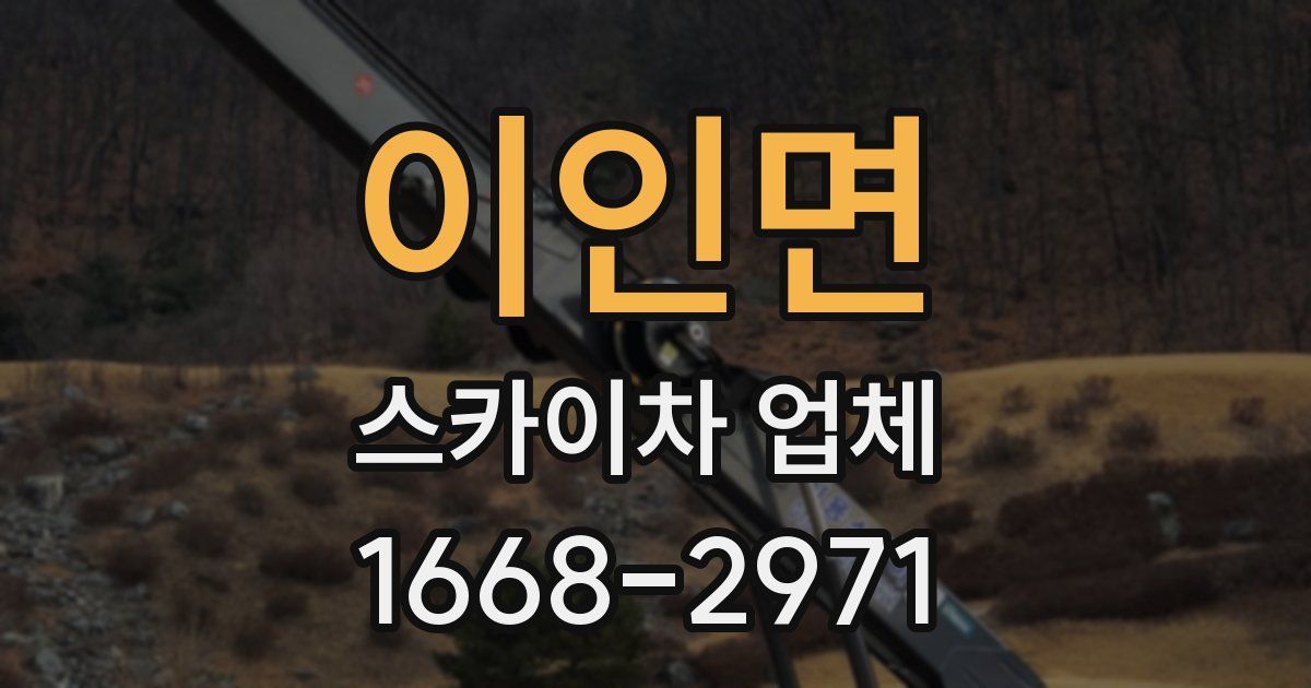 이인면 스카이차 업체