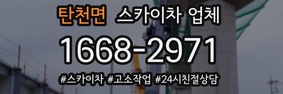 탄천면 스카이차 업체