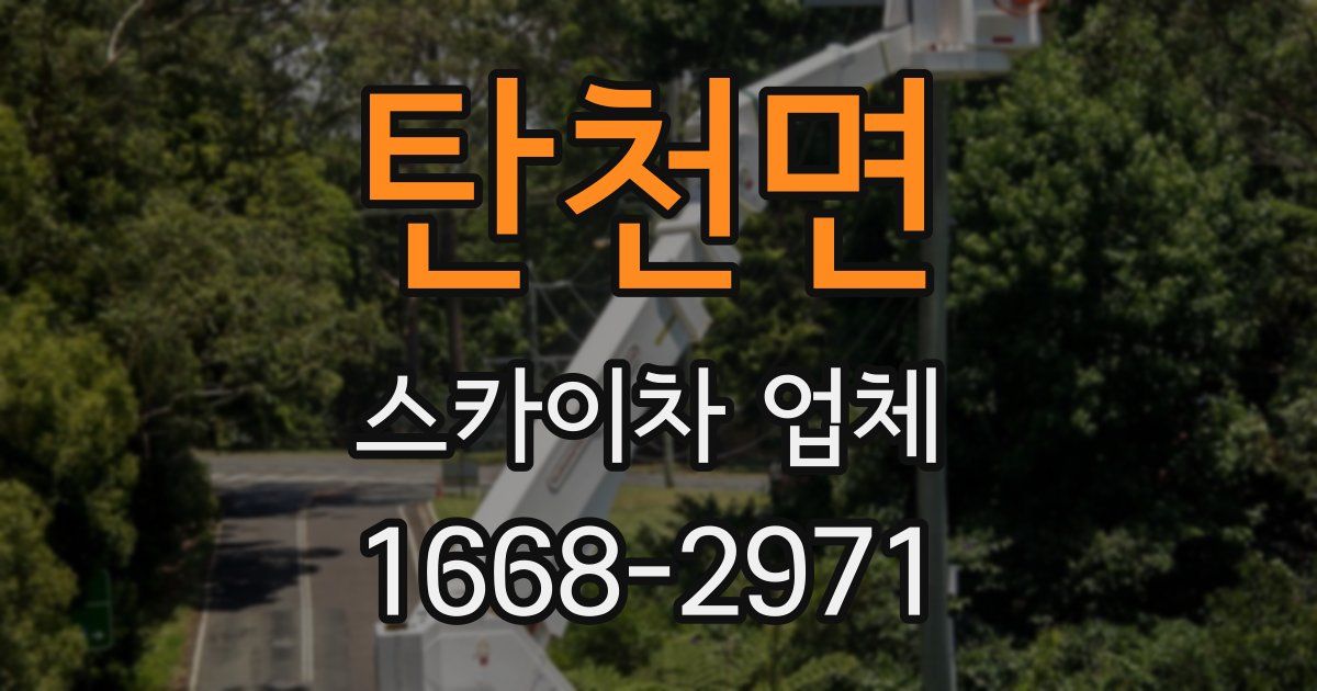 탄천면 스카이차 업체