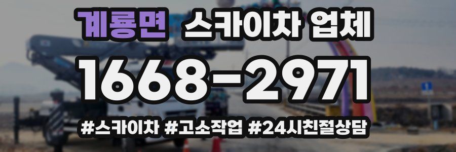 계룡면 스카이차 업체