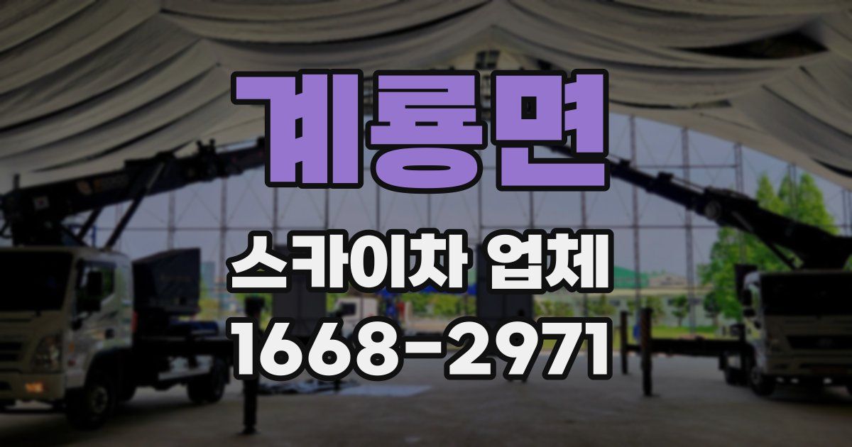 계룡면 스카이차 업체