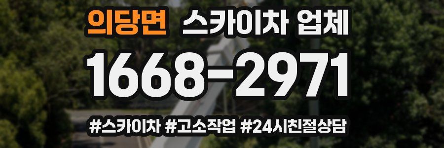 의당면 스카이차 업체
