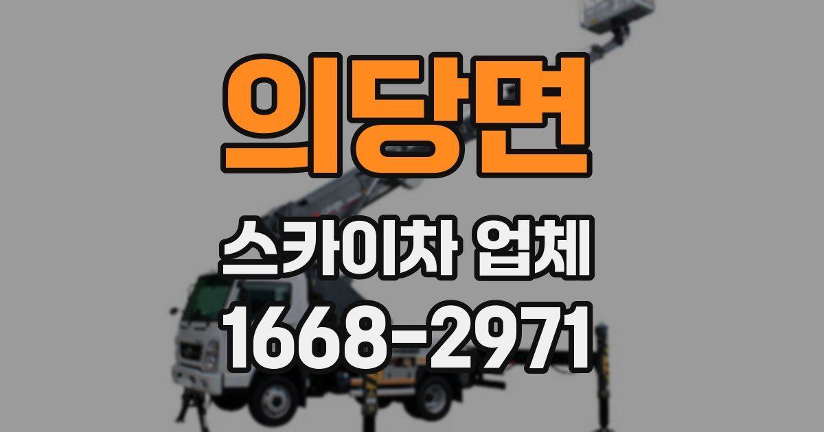 의당면 스카이차 업체