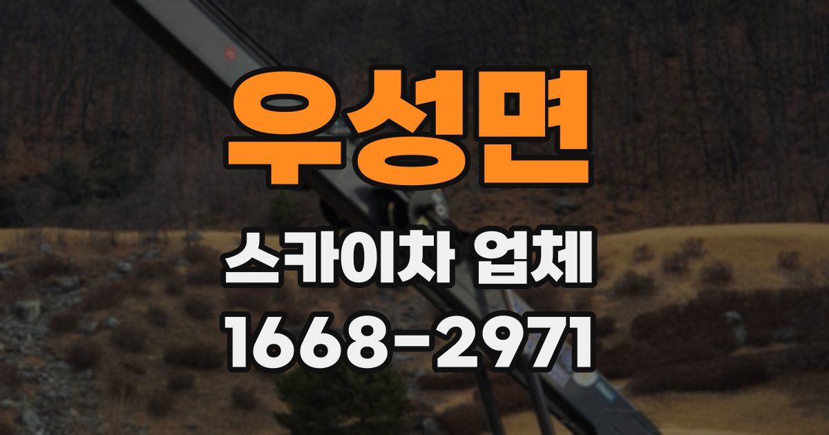 우성면 스카이차 업체
