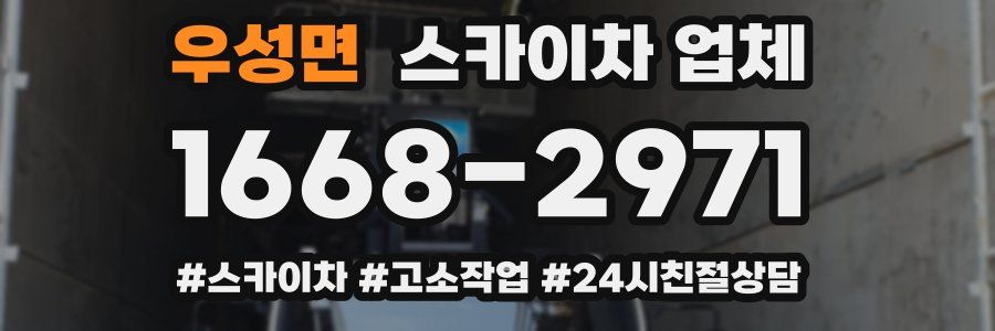 우성면 스카이차 업체