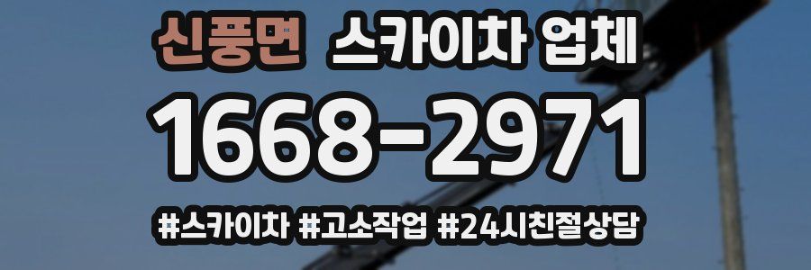 신풍면 스카이차 업체