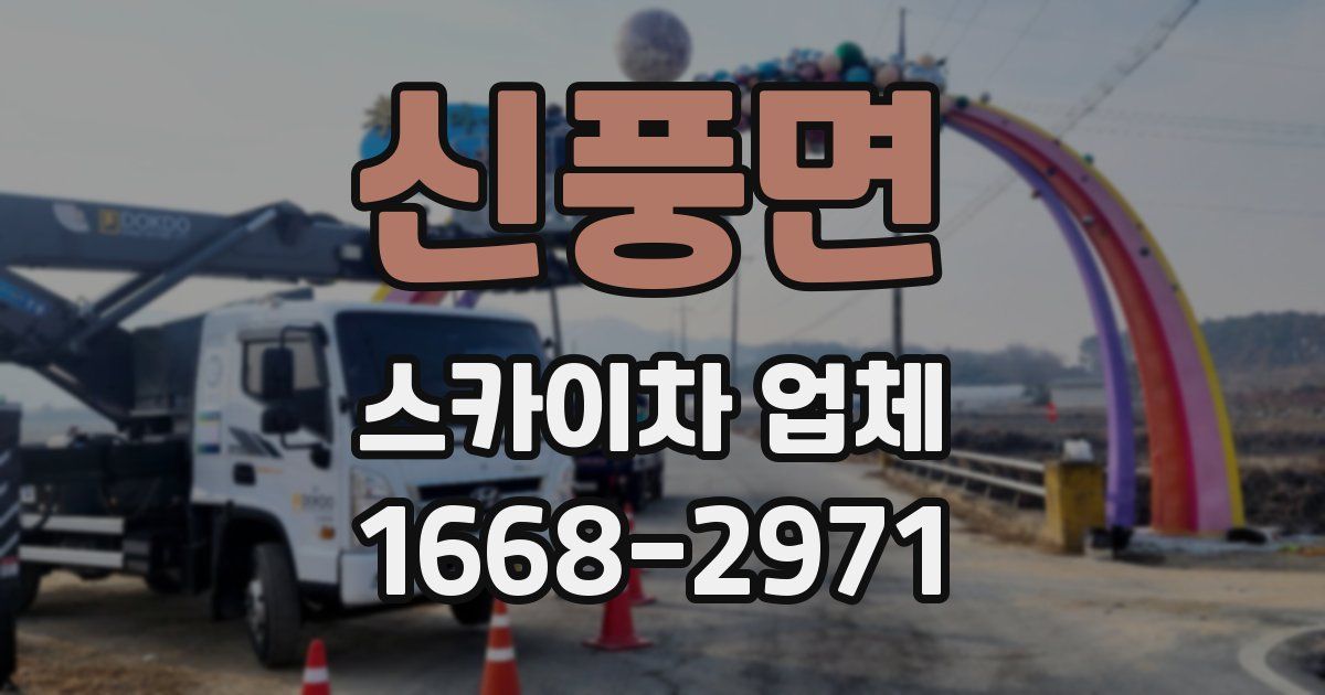 신풍면 스카이차 업체