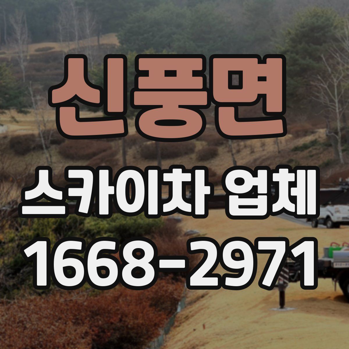 신풍면 스카이차 업체