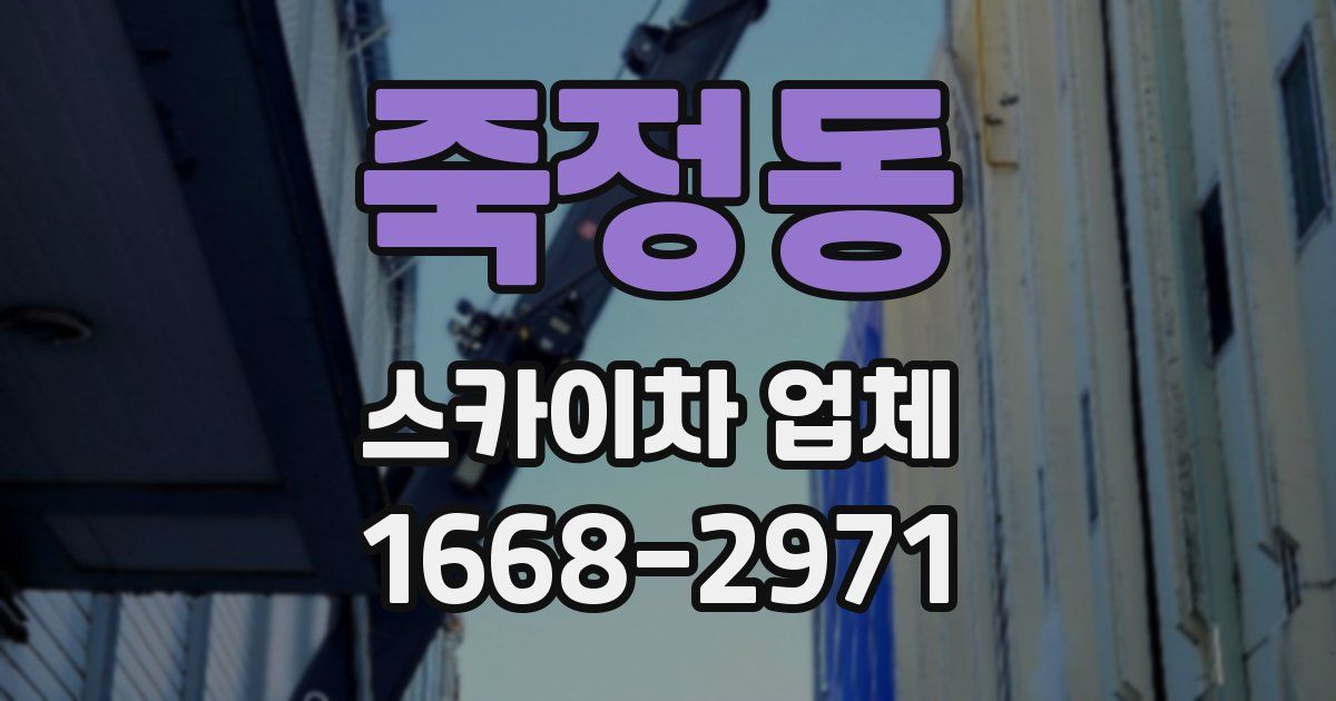 죽정동 스카이차 업체