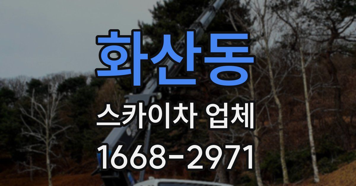 화산동 스카이차 업체
