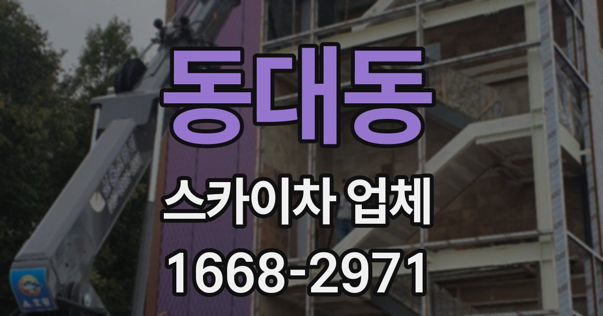 동대동 스카이차 업체