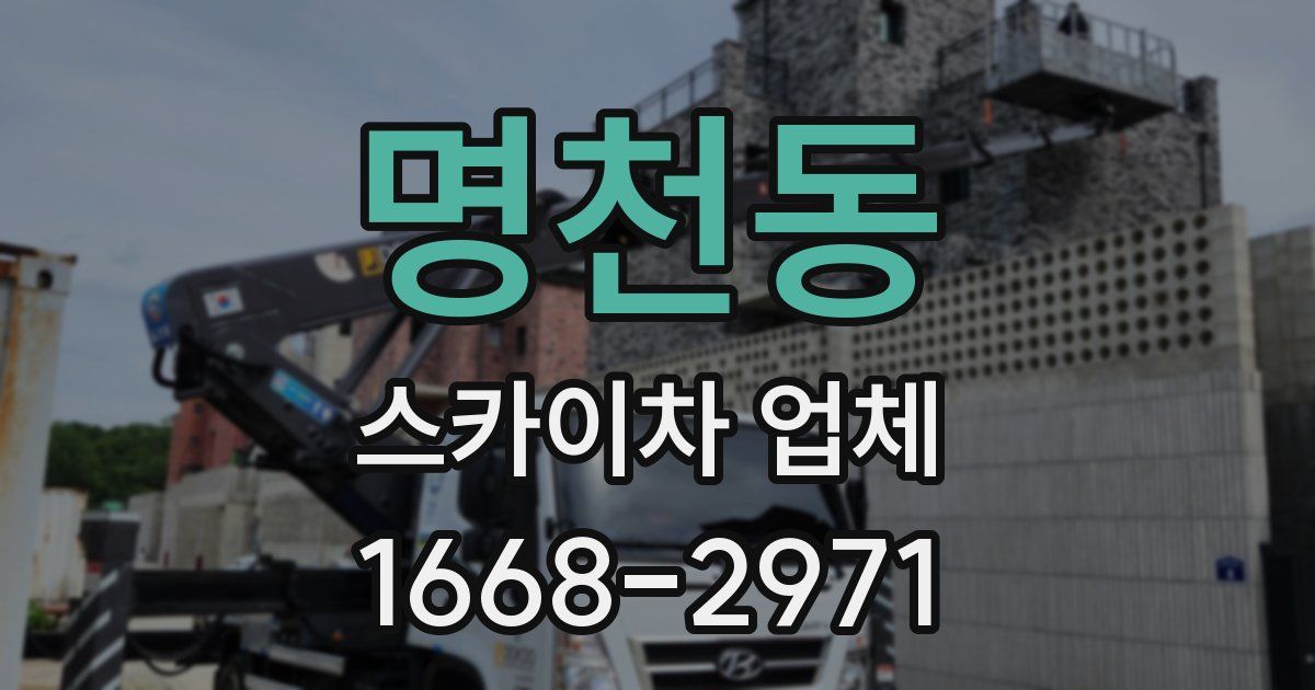 명천동 스카이차 업체