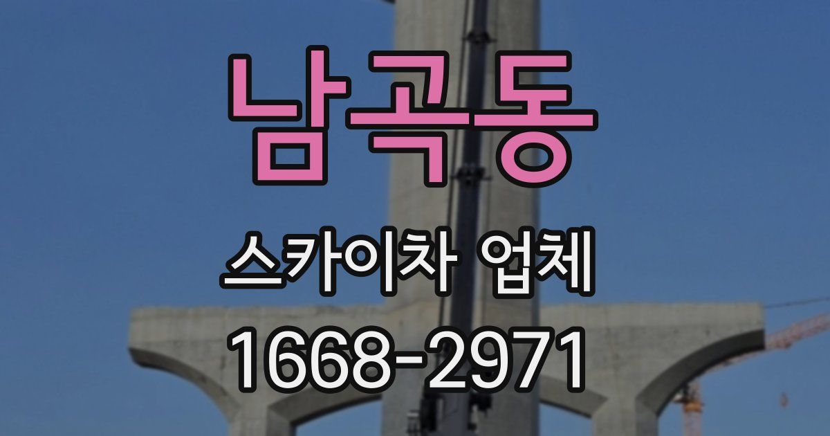 남곡동 스카이차 업체