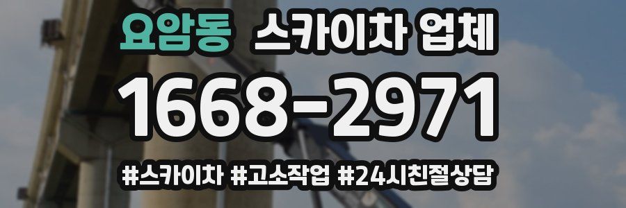 요암동 스카이차 업체