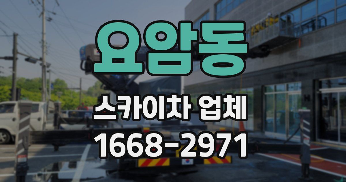 요암동 스카이차 업체