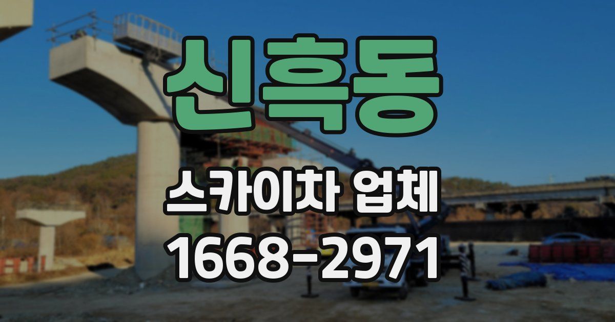 신흑동 스카이차 업체