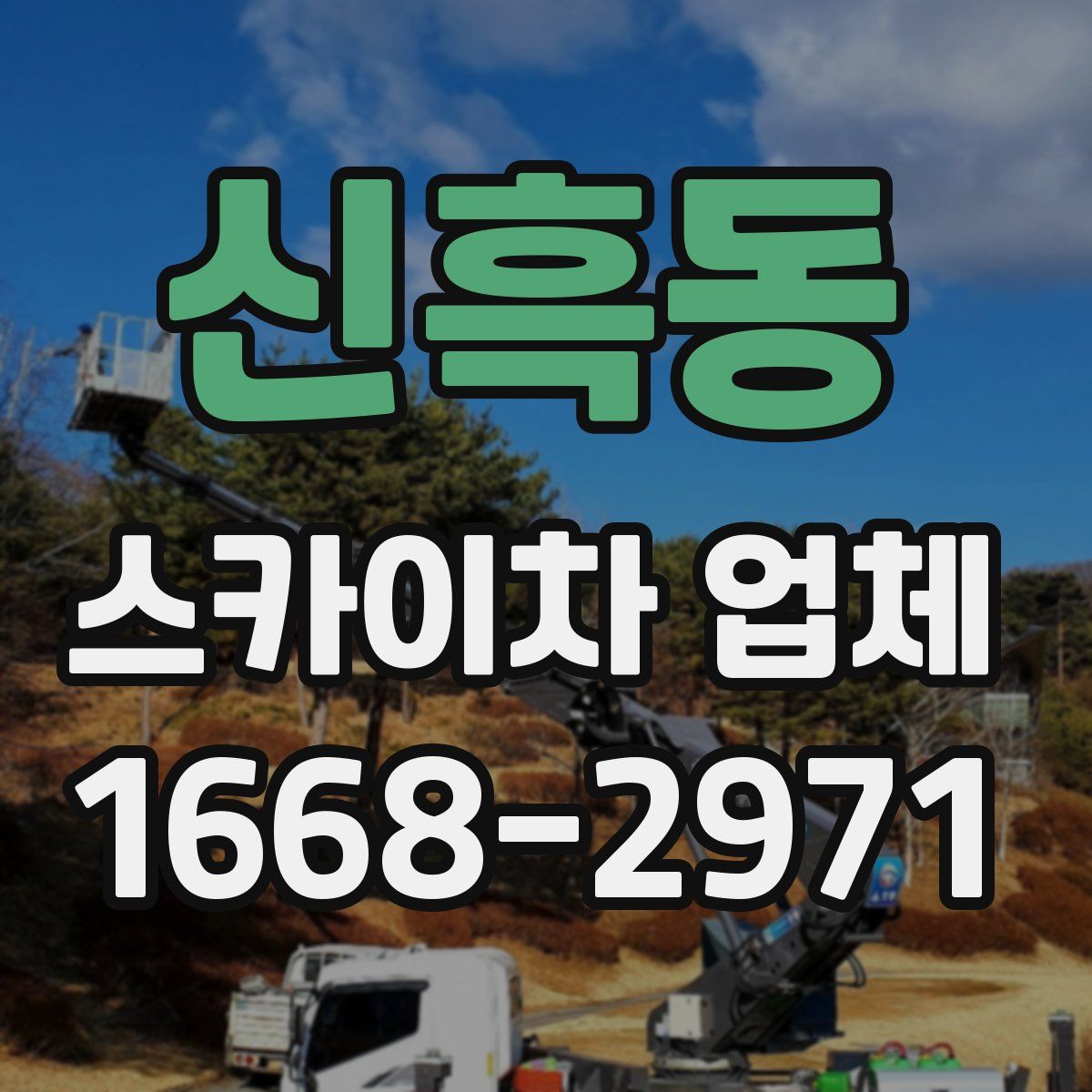 신흑동 스카이차 업체