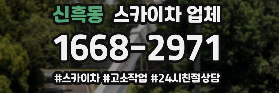 신흑동 스카이차 업체