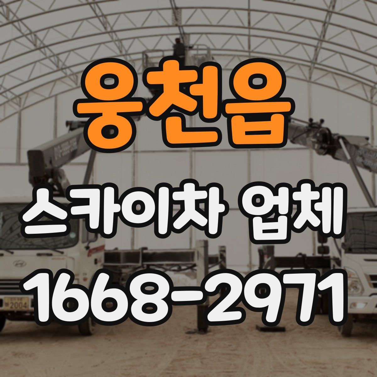 웅천읍 스카이차 업체